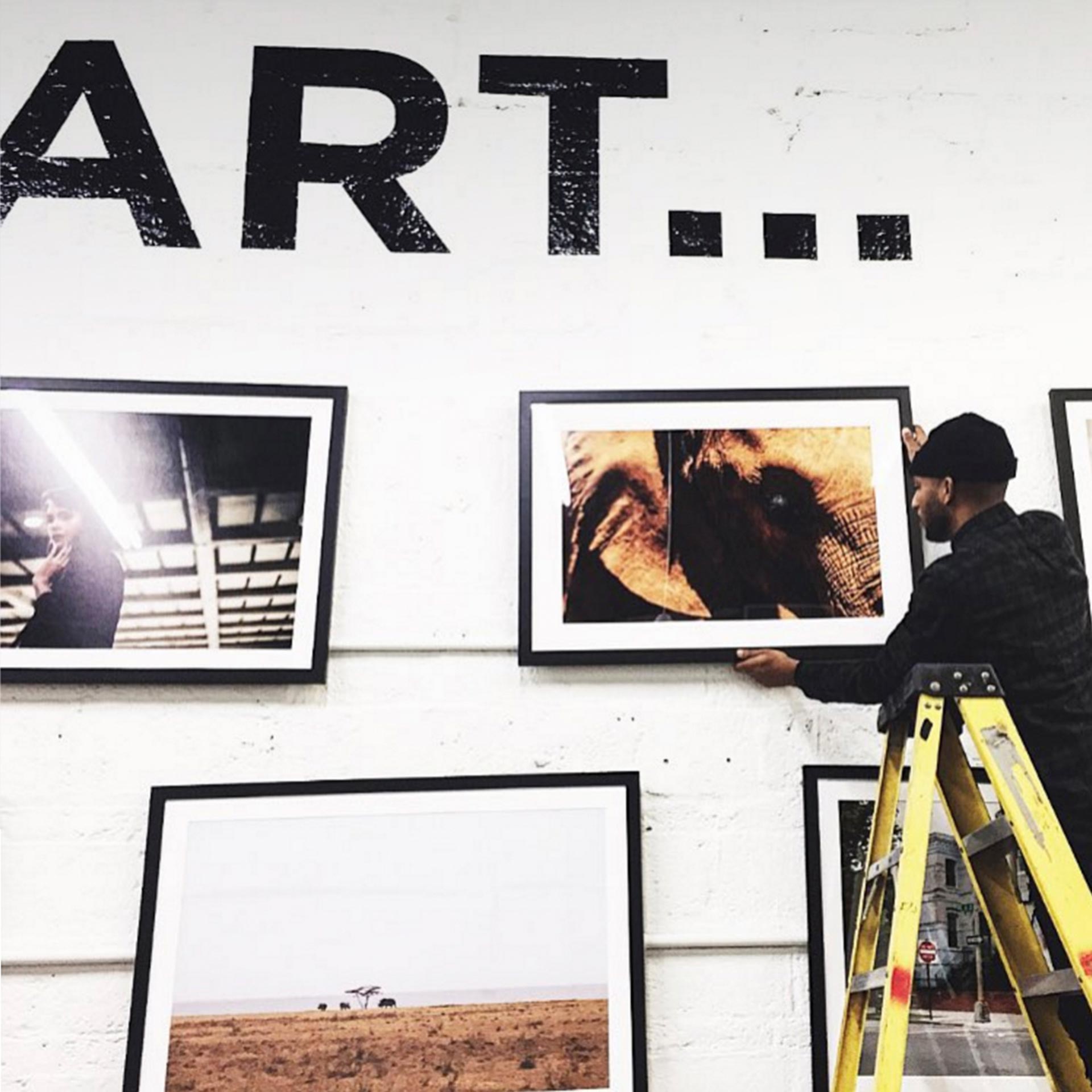 man hanging photograph of elephant on art gallery wall
