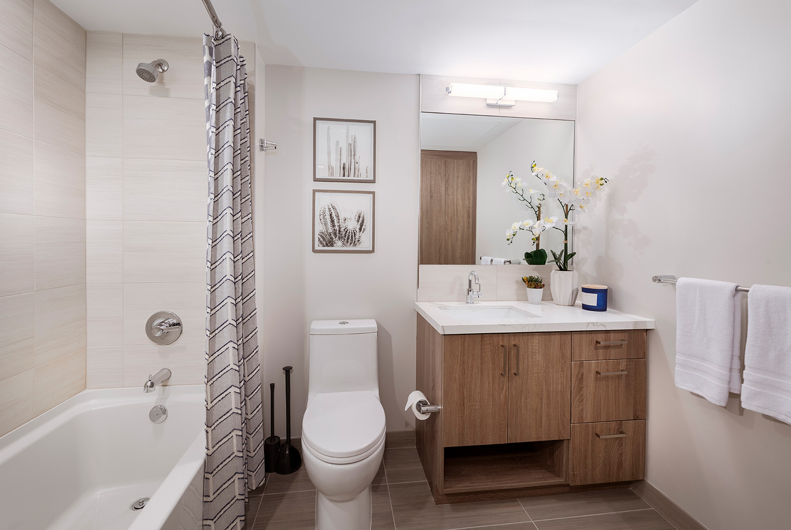 bathroom vanity mirror toilet bathtub shower